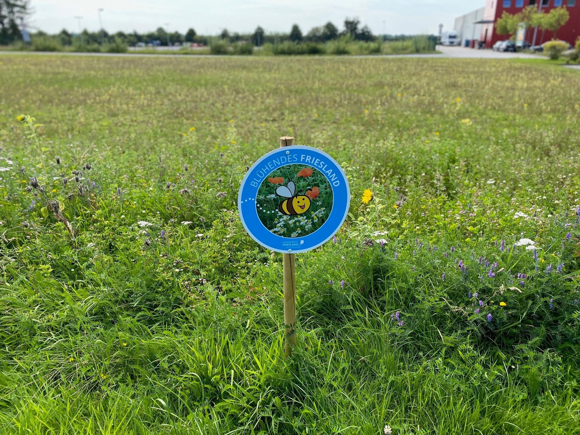 Dein Garten – ein Heim für Frieslands natürliche Arten